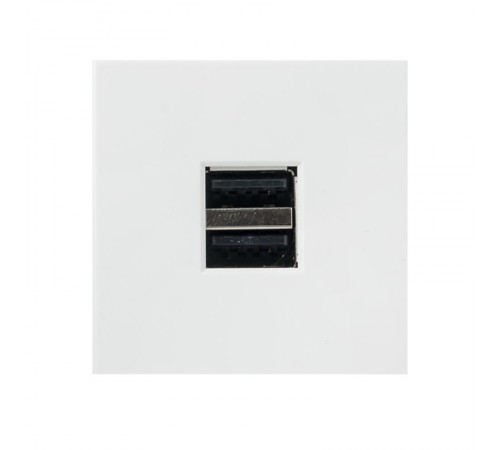 Розетка USB, сила тока 2,1 А (2 гнезда) без индикатора  E2MR2-20USB-10  EKF