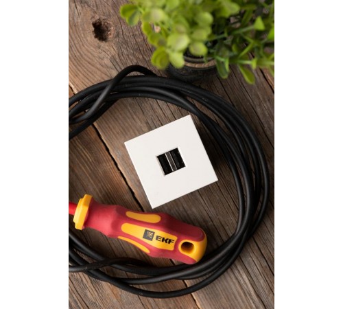 Розетка USB, сила тока 2,1 А (2 гнезда) без индикатора  E2MR2-20USB-10  EKF