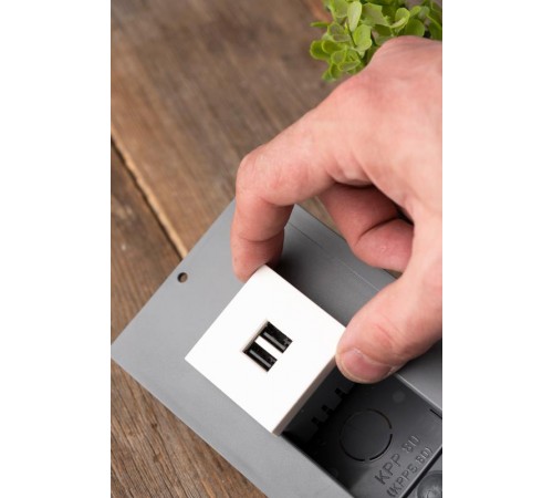 Розетка USB, сила тока 2,1 А (2 гнезда) без индикатора  E2MR2-20USB-10  EKF