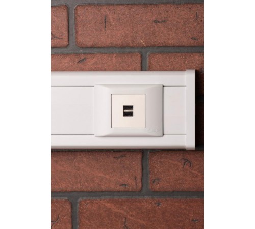 Розетка USB, сила тока 2,1 А (2 гнезда) без индикатора  E2MR2-20USB-10  EKF