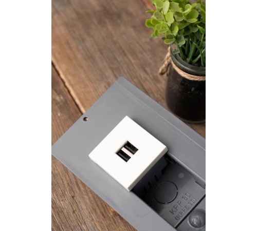 Розетка USB, сила тока 2,1 А (2 гнезда) без индикатора  E2MR2-20USB-10  EKF