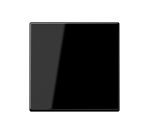 Клавиша для выключателя A590BFSW Jung