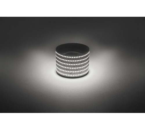 Лента светодиодная  LS2835 -19,2-240-12-4000K-IP20-1 year-5m дневной белый 5м  Б0059907  ЭРА