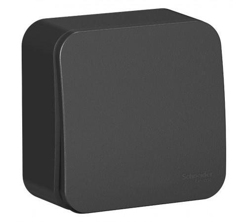 Blanca Антрацит О/У Выключатель 1-клавишный, 10А, 250B  BLNVA101006  SE