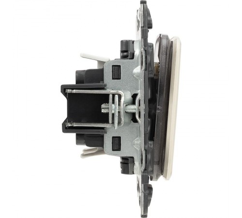 Valena ALLURE DIY Сл.кость Переключатель 2-клавишный с подсветкой 10А 250В  752809  Legrand