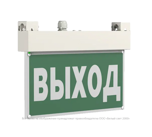 Световой указатель аварийного освещения BS-EVERON-10-S1-24  a15625  Белый свет