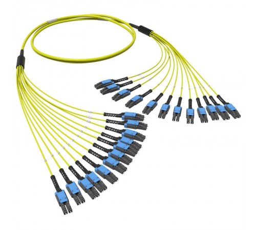 Оптическая разветвительная сборка 24ОВ 9/125 OS2, 12хLC-UPC Duplex Uniboot/12хLC-UPC Duplex Uniboot, 10м  RNFLL24S10  DKC