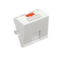 Модуль адаптер (лицевая панель) роз. информ., 45x45,  RJ, 1 вход наклон, бел.  87021  Ecoplast