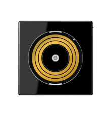 Центральная плата питания PLADMSSW Jung