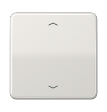 Центральная плата для вставок управления двигателями CD1700PLG Jung