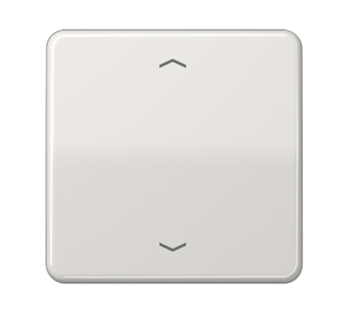 Центральная плата для вставок управления двигателями CD1700PLG Jung