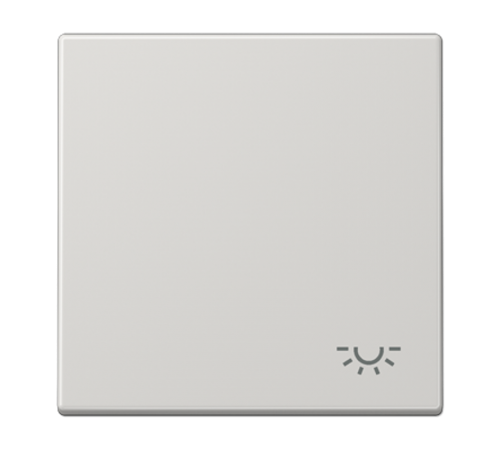 Клавиша с символом "свет" LS990LLG Jung