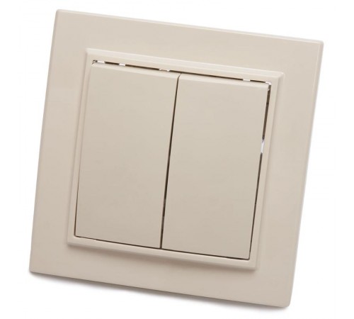 PSW10-9004-02 Выключатель 2-клавишный, 250В, 10А, серия Эрна, слоновая кость  39231  STEKKER