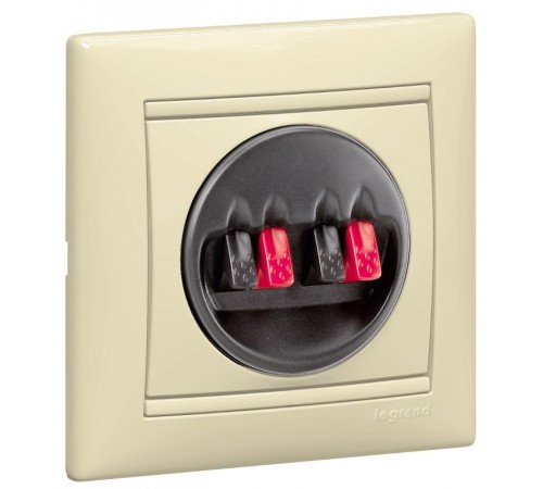 Valena Сл. кость Рамка 1-ая  774351  Legrand