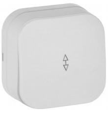 GLORY Выключатель 1-клавишный проходной о/у 10А ВСп10-1-0-ХБм белый матовый  EVH12-K01M-10  IEK