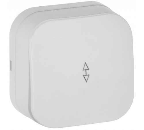 GLORY Выключатель 1-клавишный проходной о/у 10А ВСп10-1-0-ХБм белый матовый  EVH12-K01M-10  IEK