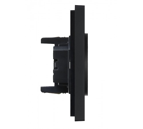 FORTE&PIANO Розетка 2-я без заземления, без шторок безвинтовое крепление 10А FP126 черный  FP-R20-10-1-K02  IEK