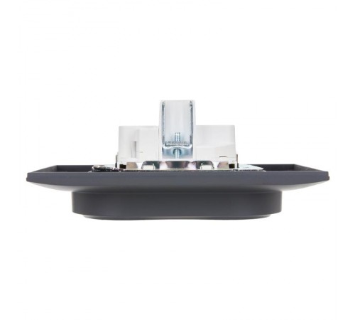 SKANDY Розетка 2-местная с з/к/ш 16А в сб. SK-R07T титан  SK-R24-16-K48-F  IEK