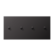 Центральная плата, 2 поста, для горизонтальной установки, тумблеры 2+2,цилиндр; металлическое исполнение; Dark; серия LS  AL12-250DR01  Jung