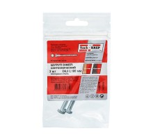 Болт DIN 571 сантехнический оцинк 6х100 (2 шт) - пакет ( 0,037 кг)  103878  Tech-KREP