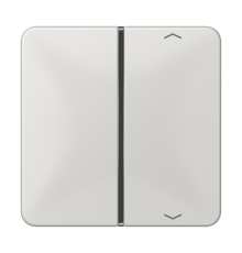 клавиша с символом для пульта KNX, светло-серая, для серии CD  CD401TSAPLG  Jung