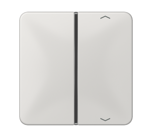 клавиша с символом для пульта KNX, светло-серая, для серии CD  CD401TSAPLG  Jung