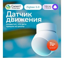 Умный датчик движения   SBDV-00029  Sber