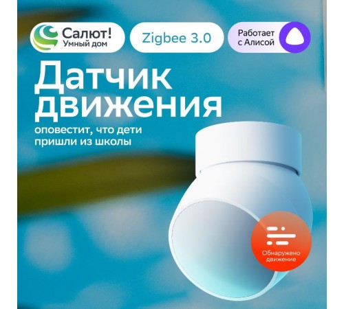Умный датчик движения   SBDV-00029  Sber