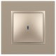 14-1102-04 Выключатель с подсветкой, 10АХ-250В, IP20, Эра Elegance, шампань  Б0034218  ЭРА