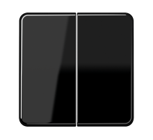 Двойная клавиша для балансирных механизмов выключателей (кнопок), в комплекте с CD95HP (крепежный элемент), возможно IP44; дюропласт; черный; CD500  