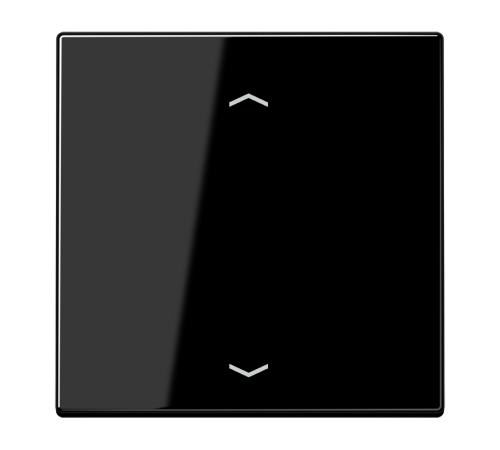 Клавиша для кнопки BCU, чёрная LS990PSW Jung