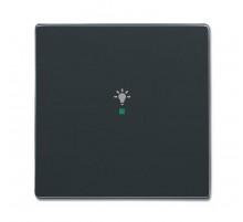 SRL-1-81 Клавиша одинарная free@home, освещение, future, антрацит  6220-0-0140   2CKA006220A0140  ABB