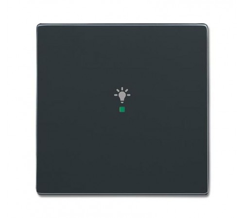 SRL-1-81 Клавиша одинарная free@home, освещение, future, антрацит  6220-0-0140   2CKA006220A0140  ABB