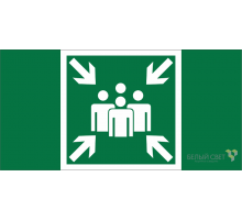 Пиктограмма (Пластина) BL-2010B.E21"Пункт (место) сбора" для BRIZ CANOE TRIOLA VOLNA YANTA   a19711  Белый свет