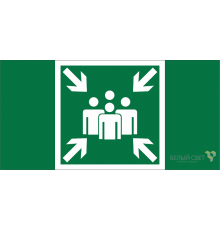 Пиктограмма (Пластина) BL-2010B.E21"Пункт (место) сбора" для BRIZ CANOE TRIOLA VOLNA YANTA   a19711  Белый свет