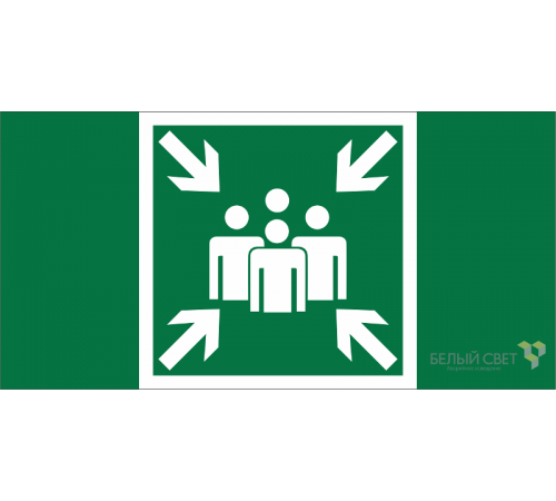 Пиктограмма (Пластина) BL-2010B.E21"Пункт (место) сбора" для BRIZ CANOE TRIOLA VOLNA YANTA   a19711  Белый свет