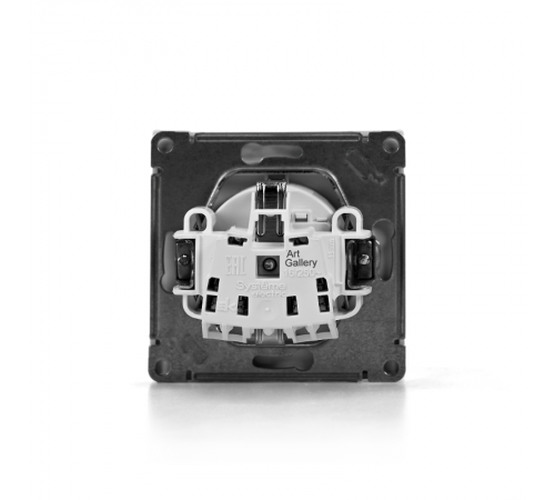 ArtGallery Белый Розетка с заземлением со шторками с крышкой, 16А, IP20,  механизм, быстрозажим. клем.  GAL000146S  SE