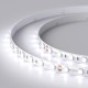 Лента светодиодная RTW 2-5000SE 24V Cool 2x (5060, 300 LED, LUX)  016847  Arlight