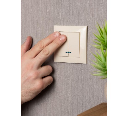 Валенсия выключатель 2-кл. 10А кремовый с индикатором EKF PROxima   EWV10-123-20   EKF