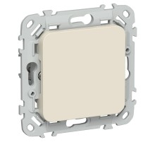 FLITE Заглушка с суппортом ЗГ-ФлСл сливочный  FI-PL10-K86  IEK