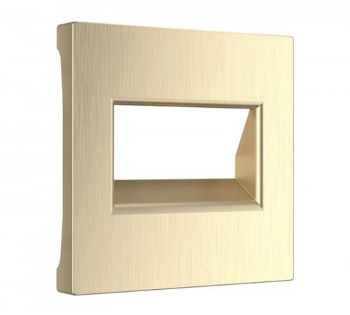 W1191110/ Электроустановочные изделия - Накладка для двойной розетки Еthernet RJ-45 (шампань рифленый)  a051415  Werkel