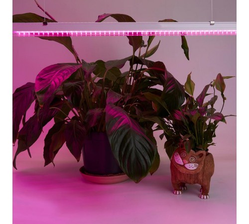 Светильник светодиодный линейный AL7001 14W AC185-265V, пластик, с выключателем, сетевым шнуром, коннектором 873*20*31мм  41352  Feron