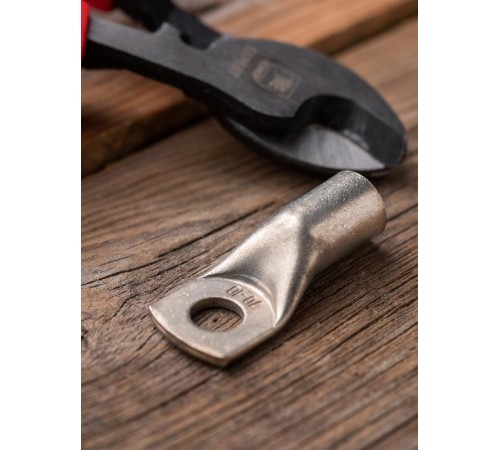 Наконечник силовой медный луженый ТМЛ-Р 70-10 EKF PROxima  tml-r-70-10  EKF