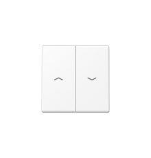 Клавиша для балансирных выключателей с символами "стрелки"; дюропласт; белый матовый A595PWWM Jung