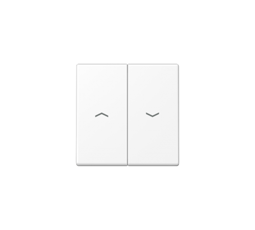 Клавиша для балансирных выключателей с символами "стрелки"; дюропласт; белый матовый A595PWWM Jung