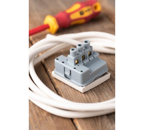 Выключатель 10А, 1 клавишный проходной без индикатора  E2MV10-025-10  EKF