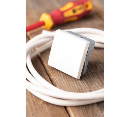 Выключатель 10А, 1 клавишный проходной без индикатора  E2MV10-025-10  EKF