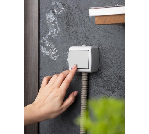 Мурманск Выключатель 1 -клавишный 10А IP54 серый EKF  EFV10-021-30-54  EKF