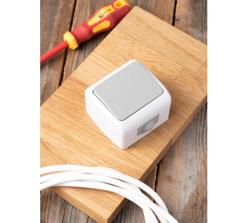 Мурманск Выключатель 1 -клавишный 10А IP54 серый EKF  EFV10-021-30-54  EKF