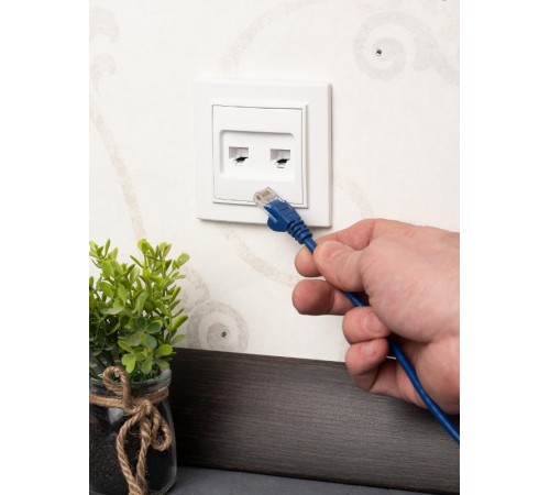 Розетка RJ-45 2-местная СП Минск  белая EKF  ERK02-035-10  EKF